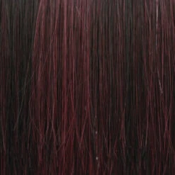 Smooth Cut Bob Wig By TressAllure | Mono Top | Heat-Friendly Synthetic -Envy Sales 1 BURG f7298286 227b 4267 a3a5 565d15b16ca3