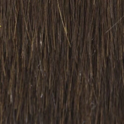 Smooth Cut Bob Wig By TressAllure | Mono Top | Heat-Friendly Synthetic -Envy Sales 4 6R 852600b1 87be 406b a564 43d66b68406e