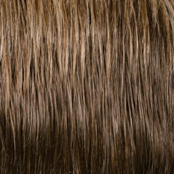 Smooth Cut Bob Wig By TressAllure | Mono Top | Heat-Friendly Synthetic -Envy Sales 52 38 49 R8.jpg3ToneLightGreyRootedMediumBrown