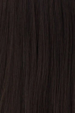 Princessa Wig By Raquel Welch -Envy Sales BL1 Darkest Brown 5162af94 d30e 4b14 931f 5e181b33c48b