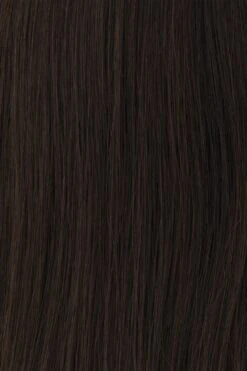 Princessa Wig By Raquel Welch -Envy Sales BL2 Medium Dark Brown be290f90 e780 4bc4 919f 2043c2c74551
