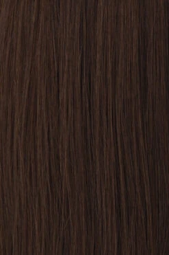 Princessa Wig By Raquel Welch -Envy Sales BL3 Chestnut Brown aa1232f5 1045 43f4 ad66 f25002fae429