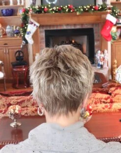 Sparkle Wig By Raquel Welch -Envy Sales Facetune 14 12 2019 16 38 45