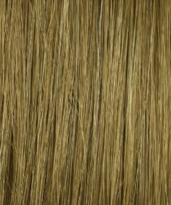 Bravo Wig By Raquel Welch -Envy Sales HD Human Hair R6HH Medium Auburn 907a5d16 6643 4ae8 99a2 aad7d2e42927