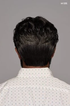 Dignified Men's Wig By HIM | Mono Top -Envy Sales HIM Dignified Model1 Side2