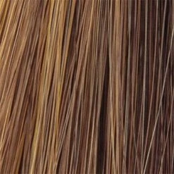 Breeze Wig By TressAllure | Synthetic -Envy Sales Honey Bean big 2d71eea6 9ee3 4442 be05 68ed5460577e