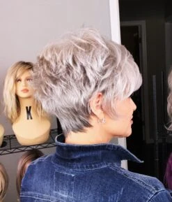 Sparkle Wig By Raquel Welch -Envy Sales IMG 9093