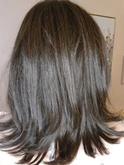 Lisa Wig By Envy | Human Hair/Synthetic Blend -Envy Sales LisabyEnvyDarkBrownBack