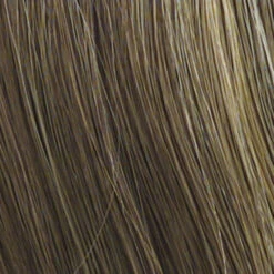 Voltage Elite Wig By Raquel Welch -Envy Sales R12 26H HONEY PECAN ef9cc6f3 2517 4802 a0b3 ba9dc7789f49