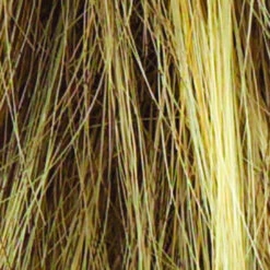 Salsa Wig By Raquel Welch | Large Cap -Envy Sales R13F25 PRALINE FOIL b4786388 9763 4653 9824 5831d9985606