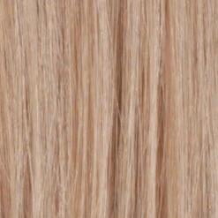 Angelina Wig By Estetica | Remy Human Hair -Envy Sales R140 14 932ada1f f50a 4267 bcf2 0ff063282c12