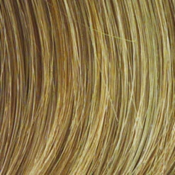 Salsa Wig By Raquel Welch | Large Cap -Envy Sales R14 25 HONEY GINGER 4d6b482a aae2 45e9 a0ab f3d634152bc9