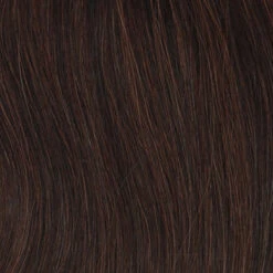 Provocateur Wig By Raquel Welch | Double Mono Top -Envy Sales R2 31 Cocoa 4f0e12c0 96bc 4398 a4fa 9a6439666402