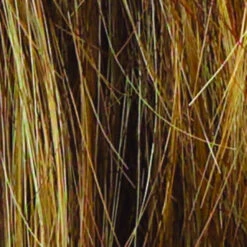 Sparkle Wig By Raquel Welch -Envy Sales R9F26 MOCHA FOIL 844a3ec7 7bf6 412b b787 587cb4bdccca