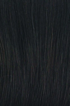 Fanfare Wig By Raquel Welch -Envy Sales RL2 4 OFF BLACK