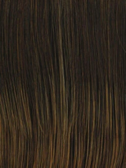 Straight Up With A Twist Wig By Raquel Welch -Envy Sales RL6 28 BRONZED SABLE 222d127d e2e8 4238 9aa0 b75bbf36234b