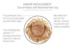 Lyric Top Piece By Raquel Welch -Envy Sales RW Lyric Cap