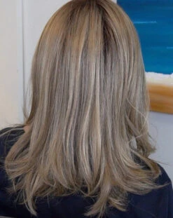 Nice Move Wig By Raquel Welch -Envy Sales RWNiceMovebackSSCappuccino