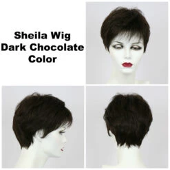 Sheila Wig By Godiva's Secret Wigs -Envy Sales Sheila Dk choc 93599.1458852410.1280.1280