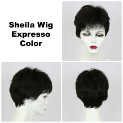 Sheila Wig By Godiva's Secret Wigs -Envy Sales Sheila Expresso 46658.1458852394.1280.1280