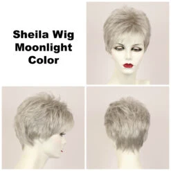 Sheila Wig By Godiva's Secret Wigs -Envy Sales Sheila Moonlight 15326.1461019377.1280.1280