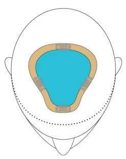 EasiPart XL 8" | Remy Human Hair -Envy Sales easiPartXL placement color