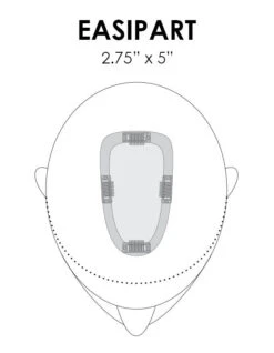 EasiPart Topper 8" | Remy Human Hair -Envy Sales easipart placement base dimension
