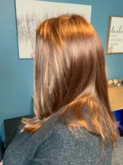 Falling For You Wig By Gabor -Envy Sales fallingforyougaborrustyauburn