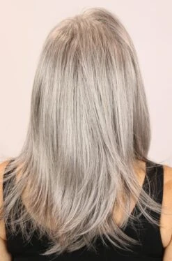 Taylor Wig By Godiva's Secret Wigs -Envy Sales taylorsilv2 1800x1800 729c53ee aa29 4909 bc08 0c4ed154685d